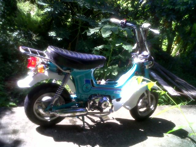 Name:  IMG00354-20110824-0938.jpg
Views: 246
Size:  60.5 KB