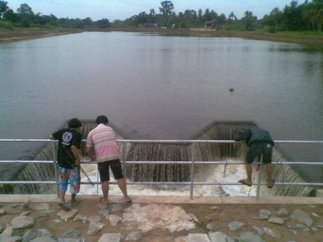 Name:  316046_231622100224161_100001291193544_614213_193234545_n.jpg
Views: 313
Size:  38.0 KB