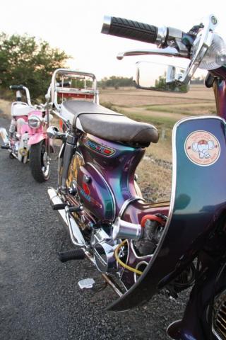 Name:  img418243resizegn3.jpg
Views: 1589
Size:  32.1 KB