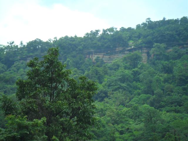 Name:  SAM_7135.jpg
Views: 76
Size:  42.0 KB