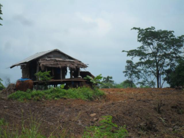 Name:  SAM_7136.jpg
Views: 69
Size:  35.7 KB