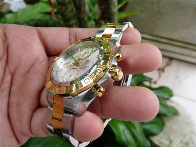 Name:  P1220008 (Small).JPG
Views: 1332
Size:  48.3 KB