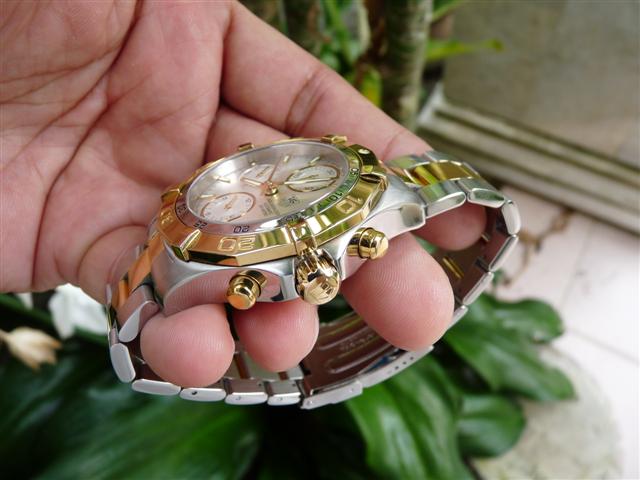 Name:  P1220011 (Small).JPG
Views: 1356
Size:  47.1 KB