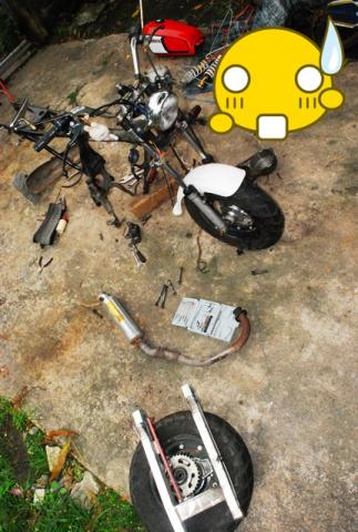 Name:  DSC_0093.jpg
Views: 598
Size:  37.7 KB
