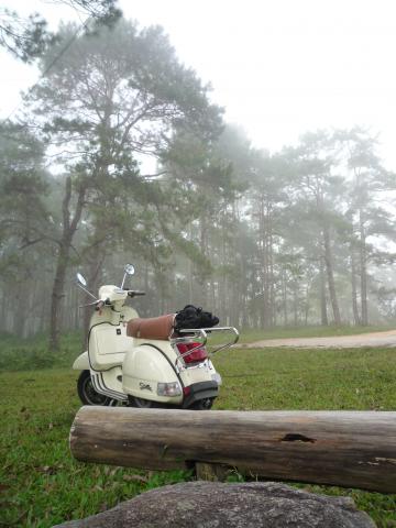 Name:  P1040562.jpg
Views: 1042
Size:  29.5 KB