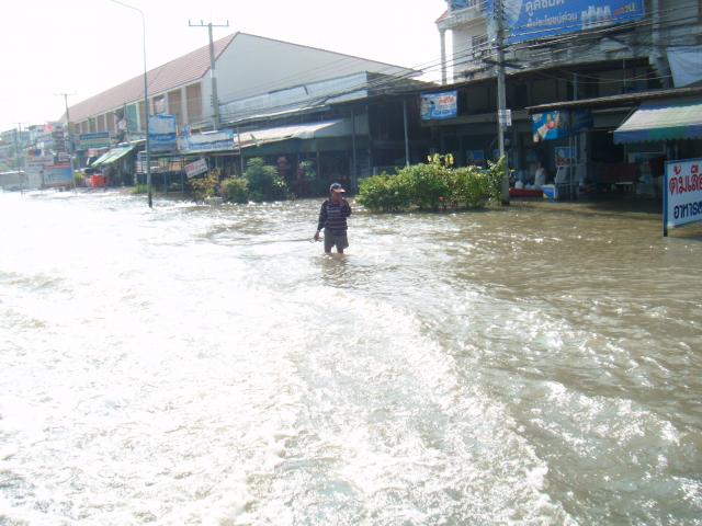 Name:  DSCF3705.jpg
Views: 565
Size:  52.0 KB