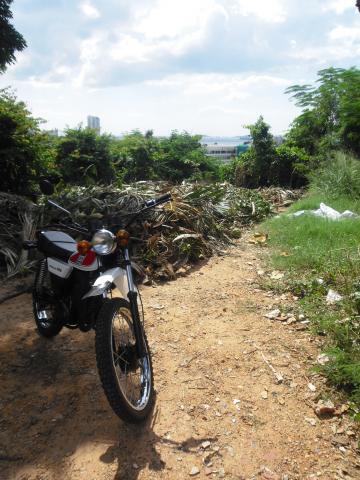 Name:  CIMG0048.jpg
Views: 420
Size:  40.3 KB