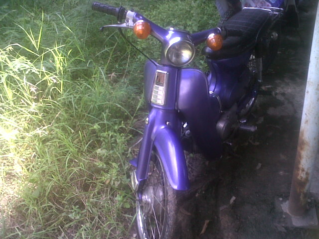 Name:  IMG01110-20111030-1402.jpg
Views: 121
Size:  82.6 KB