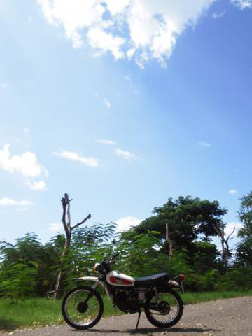 Name:  CIMG0020.jpg
Views: 410
Size:  129.0 KB