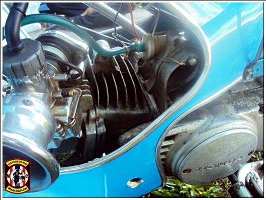 Name:  DSC07658.jpg
Views: 2495
Size:  43.7 KB