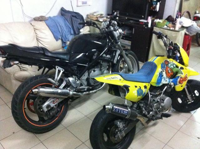 Name:  312684_2246175919051_1387768900_32348667_1087544654_n.jpg
Views: 501
Size:  54.0 KB