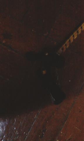 Name:  IMAG0308.jpg
Views: 557
Size:  8.5 KB