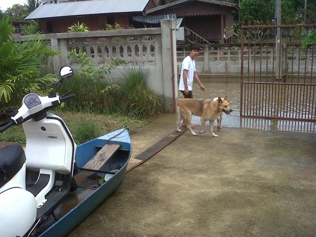 Name:  IMG00416-20111009-1132.jpg
Views: 1323
Size:  60.6 KB