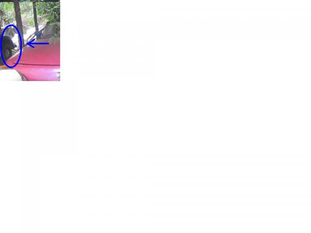 Name:  untitled 2.jpg
Views: 1628
Size:  10.7 KB