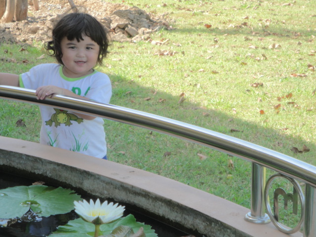 Name:  DSC03034.JPG
Views: 119
Size:  141.1 KB