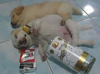 Name:  1_001.jpg
Views: 1436
Size:  20.1 KB