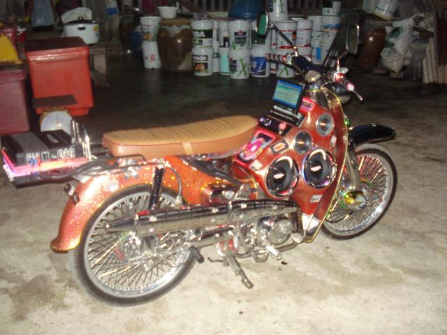 Name:  DSC07039.jpg
Views: 3246
Size:  53.6 KB