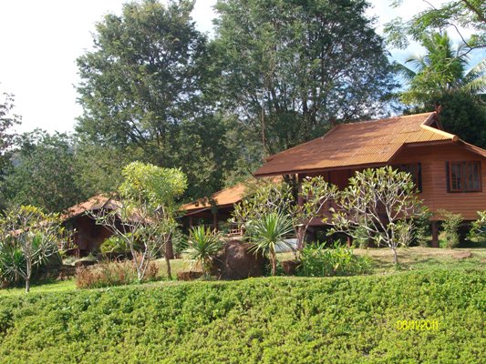 Name:  SANY3719.JPG
Views: 492
Size:  105.3 KB