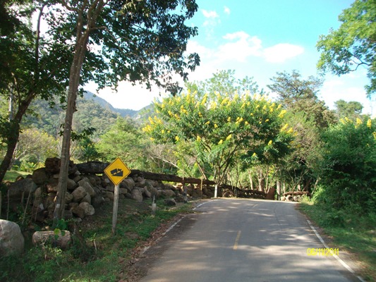 Name:  SANY3723.JPG
Views: 491
Size:  118.1 KB