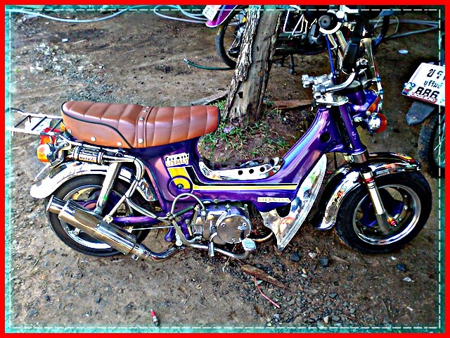 Name:  2520.jpg
Views: 89
Size:  132.5 KB