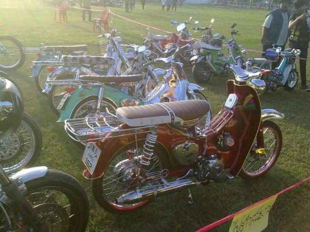 Name:  294124_234621273259646_100001353264529_555726_1093156961_n.jpg
Views: 1703
Size:  61.8 KB