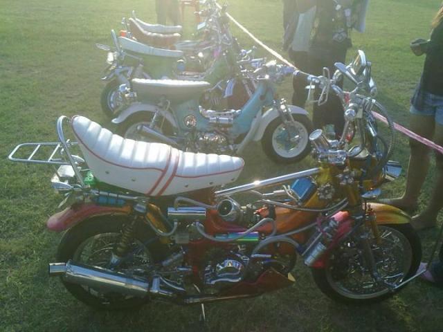 Name:  298389_234620099926430_100001353264529_555689_1744475482_n.jpg
Views: 1599
Size:  46.3 KB