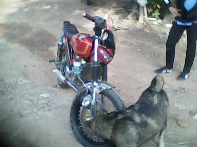 Name:  DSC_0000276.jpg
Views: 718
Size:  68.1 KB