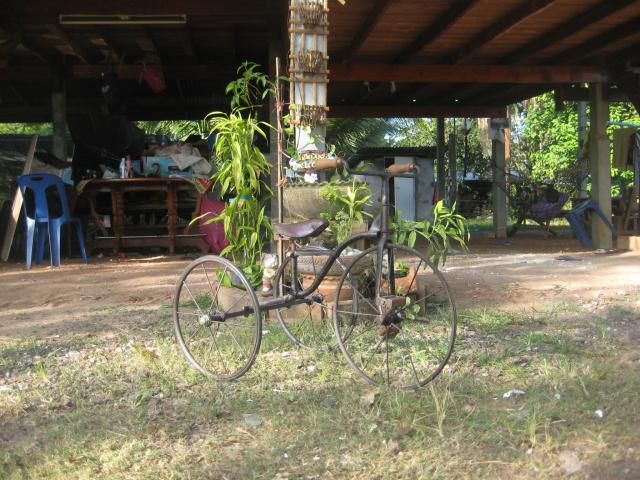 Name:  IMG_0932.jpg
Views: 808
Size:  69.5 KB