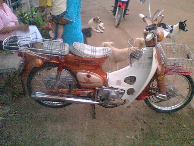 Name:  Ҿ0495.jpg
Views: 259
Size:  59.2 KB