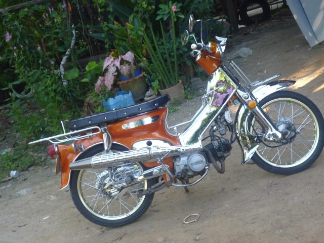Name:  P1030516.jpg
Views: 2816
Size:  58.5 KB