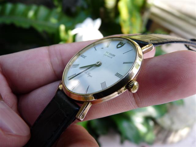 Name:  P1210718 (Small).JPG
Views: 1271
Size:  40.7 KB