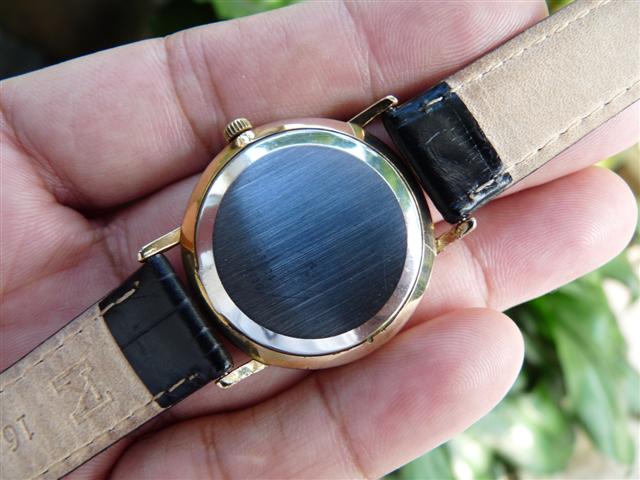 Name:  P1210724 (Small).JPG
Views: 1304
Size:  52.2 KB