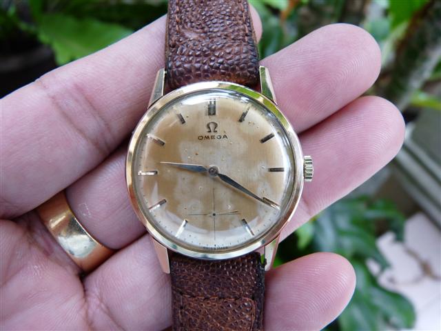 Name:  P1210880 (Small).JPG
Views: 1394
Size:  52.7 KB