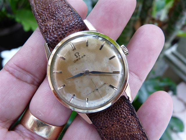 Name:  P1210881 (Small).JPG
Views: 1294
Size:  56.5 KB