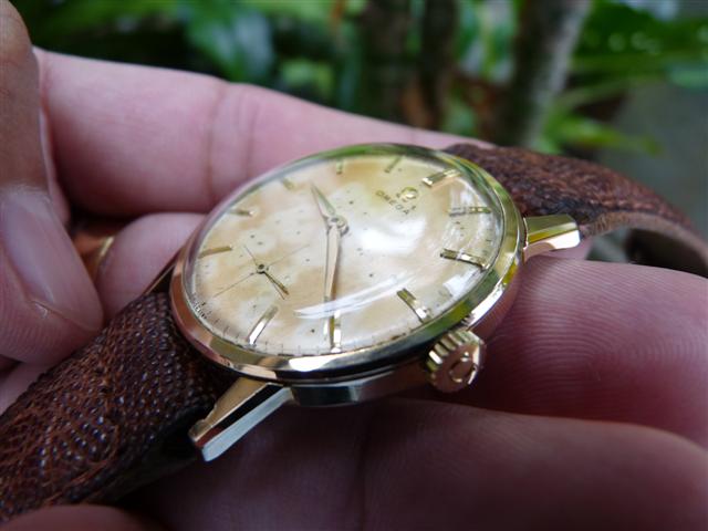 Name:  P1210889 (Small).JPG
Views: 1221
Size:  40.5 KB