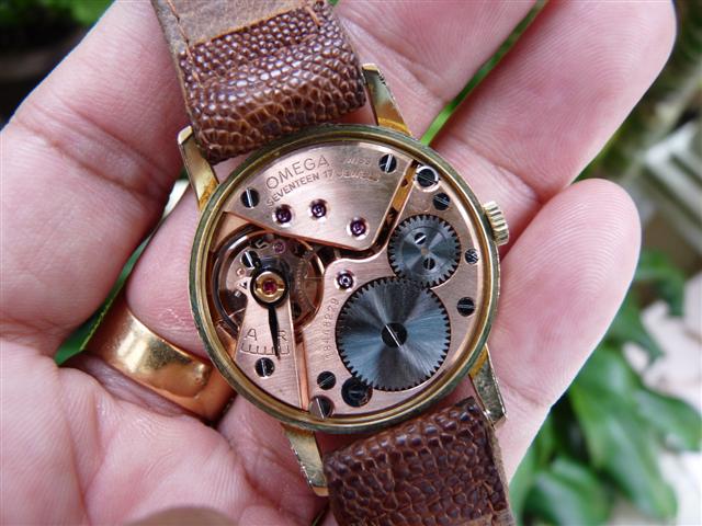 Name:  P1210894 (Small).JPG
Views: 1267
Size:  63.8 KB