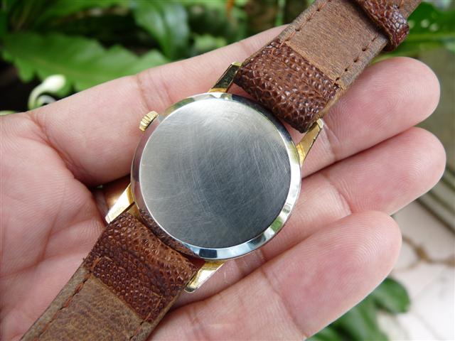 Name:  P1210892 (Small).JPG
Views: 1216
Size:  52.0 KB