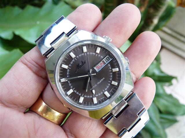 Name:  P1220654 (Small).JPG
Views: 1205
Size:  57.7 KB