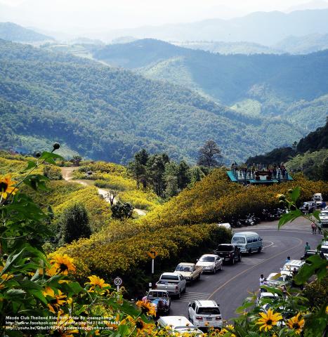 Name:  DSC05715.jpg
Views: 171
Size:  57.3 KB