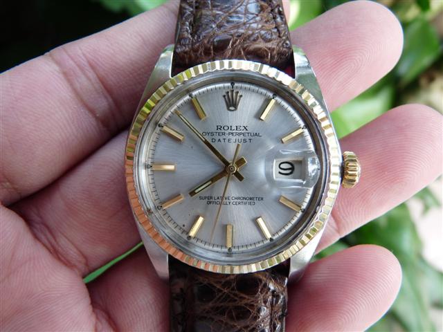 Name:  P1210489 (Small).JPG
Views: 1411
Size:  56.9 KB