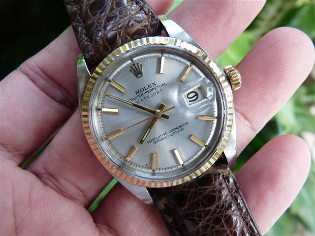 Name:  P1210491 (Small).JPG
Views: 1404
Size:  57.1 KB