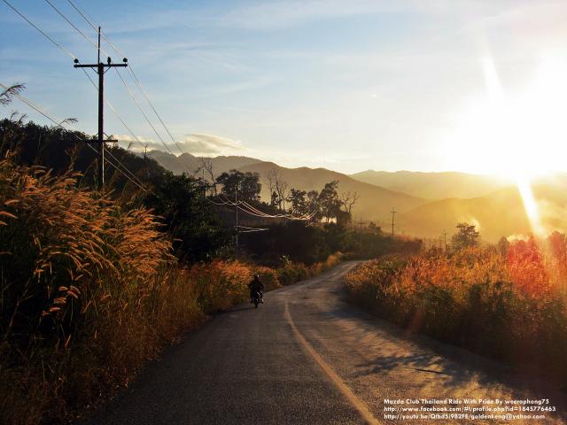 Name:  IMG_7532.jpg
Views: 177
Size:  43.4 KB