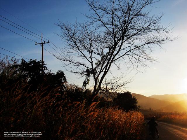 Name:  IMG_7539.jpg
Views: 188
Size:  64.1 KB