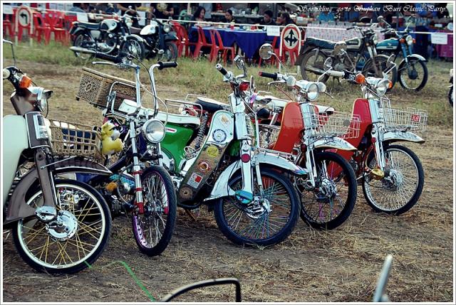 Name:  DSC_0087.jpg
Views: 1141
Size:  96.1 KB