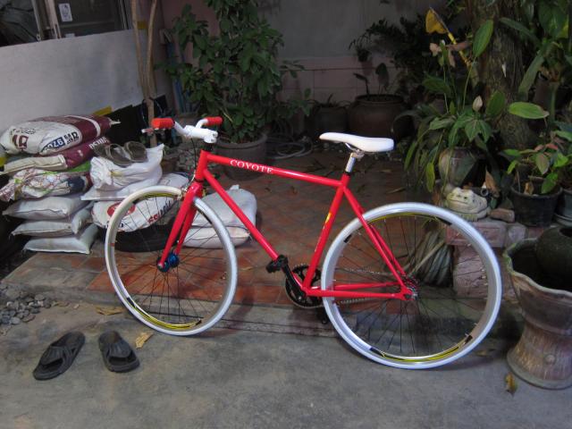 Name:  coyote.jpg
Views: 532
Size:  50.1 KB