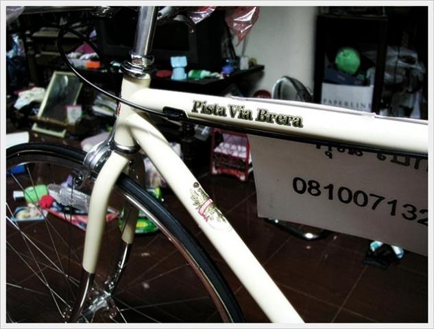 Name:  P1010279 (Small).jpg
Views: 1471
Size:  47.5 KB