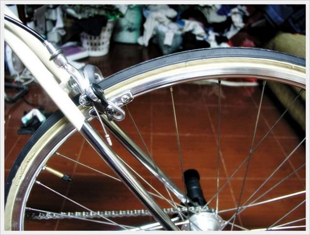 Name:  P1010280 (Small).jpg
Views: 1331
Size:  52.2 KB