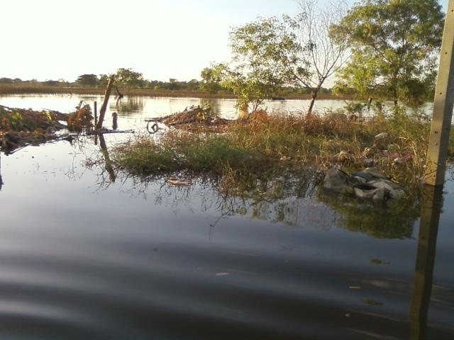 Name:  Photo-0103.jpg
Views: 289
Size:  46.3 KB