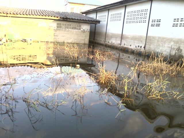 Name:  Photo-0055.jpg
Views: 454
Size:  56.0 KB