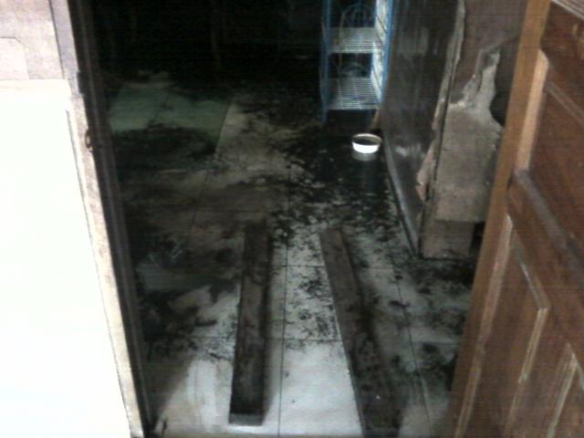 Name:  Photo-0059e.jpg
Views: 214
Size:  30.8 KB